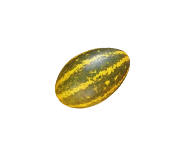 Malabar Cucumber