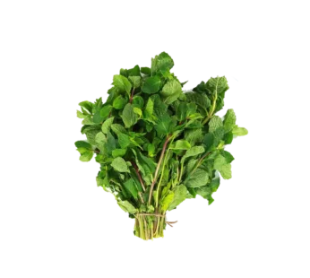 Mint