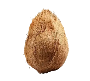 Fresh Coconut