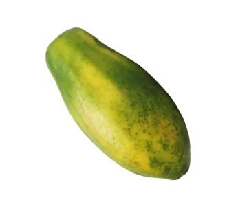 Papaya – Large